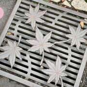 ヒメ日記 2025/10/25 09:05 投稿 なな R（アール）