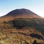 ヒメ日記 2025/10/31 09:55 投稿 なな R（アール）