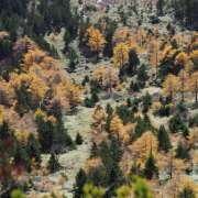 ヒメ日記 2025/11/01 08:45 投稿 なな R（アール）