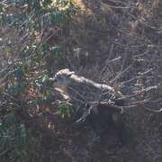 ヒメ日記 2025/11/02 09:45 投稿 なな R（アール）