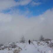 ヒメ日記 2026/01/16 09:25 投稿 なな R（アール）