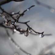 ヒメ日記 2026/02/21 07:15 投稿 なな R（アール）