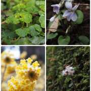 ヒメ日記 2026/03/25 11:45 投稿 なな R（アール）