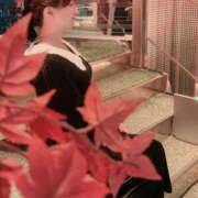 ヒメ日記 2025/06/13 08:00 投稿 アンナ（シルバーキャスト） VIPクリスタル