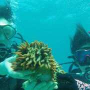 ヒメ日記 2025/07/31 08:00 投稿 アンナ（シルバーキャスト） VIPクリスタル