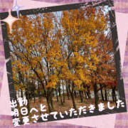 ヒメ日記 2024/12/21 14:07 投稿 まどか 素人妻御奉仕倶楽部Hip's松戸店