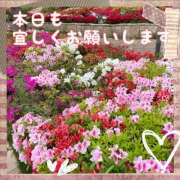 ヒメ日記 2025/04/26 09:14 投稿 まどか 素人妻御奉仕倶楽部Hip's松戸店