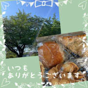 ヒメ日記 2025/04/28 09:26 投稿 まどか 素人妻御奉仕倶楽部Hip's松戸店