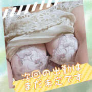 ヒメ日記 2025/05/02 18:56 投稿 まどか 素人妻御奉仕倶楽部Hip's松戸店