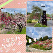 ヒメ日記 2025/05/08 10:26 投稿 まどか 素人妻御奉仕倶楽部Hip's松戸店