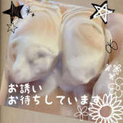 ヒメ日記 2025/05/16 09:42 投稿 まどか 素人妻御奉仕倶楽部Hip's松戸店