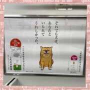 ヒメ日記 2025/08/17 19:27 投稿 まどか 素人妻御奉仕倶楽部Hip's松戸店