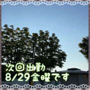 まどか 夜明け前 素人妻御奉仕倶楽部Hip's松戸店