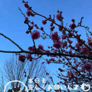 ヒメ日記 2026/02/04 09:14 投稿 まどか 素人妻御奉仕倶楽部Hip's松戸店