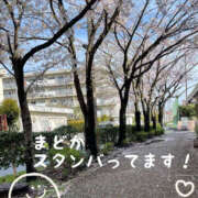 ヒメ日記 2026/04/05 12:09 投稿 まどか 素人妻御奉仕倶楽部Hip's松戸店