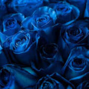 ヒメ日記 2024/12/24 20:32 投稿 桐谷（きりたに） 女々艶 大和店