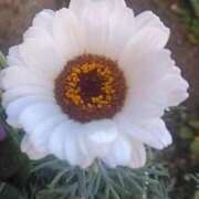 ヒメ日記 2025/02/08 08:15 投稿 サキ シャロン横浜