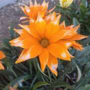 ヒメ日記 2025/02/16 08:15 投稿 サキ シャロン横浜