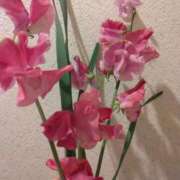 ヒメ日記 2025/03/09 23:54 投稿 サキ シャロン横浜