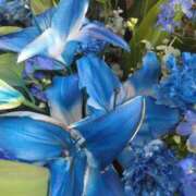 ヒメ日記 2025/04/11 08:15 投稿 サキ シャロン横浜