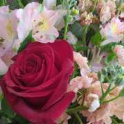 ヒメ日記 2025/04/25 08:15 投稿 サキ シャロン横浜