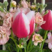 ヒメ日記 2025/04/27 08:15 投稿 サキ シャロン横浜