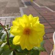 ヒメ日記 2025/05/07 08:15 投稿 サキ シャロン横浜