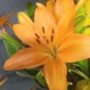 ヒメ日記 2025/05/16 08:15 投稿 サキ シャロン横浜