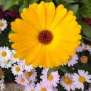 ヒメ日記 2025/05/25 08:15 投稿 サキ シャロン横浜