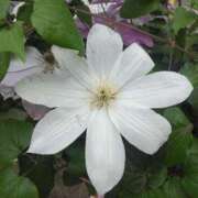 ヒメ日記 2025/06/08 08:15 投稿 サキ シャロン横浜