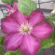 ヒメ日記 2025/07/18 08:15 投稿 サキ シャロン横浜