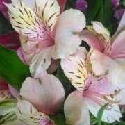 ヒメ日記 2025/07/20 08:15 投稿 サキ シャロン横浜