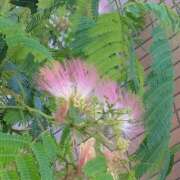 ヒメ日記 2025/08/08 08:15 投稿 サキ シャロン横浜