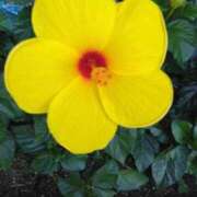 ヒメ日記 2025/08/24 08:15 投稿 サキ シャロン横浜