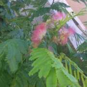 ヒメ日記 2025/09/14 08:15 投稿 サキ シャロン横浜