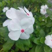 ヒメ日記 2025/09/19 08:15 投稿 サキ シャロン横浜