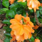 ヒメ日記 2025/09/24 08:15 投稿 サキ シャロン横浜