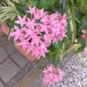 ヒメ日記 2025/10/08 08:15 投稿 サキ シャロン横浜