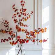 サキ ☆いい「おしり」の日☆ シャロン横浜