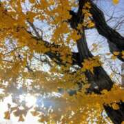 ヒメ日記 2025/12/28 08:15 投稿 サキ シャロン横浜