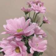 ヒメ日記 2026/01/16 08:15 投稿 サキ シャロン横浜