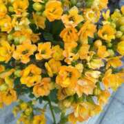 ヒメ日記 2026/02/01 08:15 投稿 サキ シャロン横浜