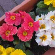 ヒメ日記 2026/02/13 08:15 投稿 サキ シャロン横浜