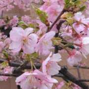 ヒメ日記 2026/02/18 08:15 投稿 サキ シャロン横浜