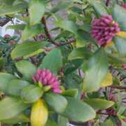 ヒメ日記 2026/02/20 08:15 投稿 サキ シャロン横浜