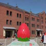 ヒメ日記 2026/03/01 08:15 投稿 サキ シャロン横浜