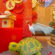 ヒメ日記 2025/01/04 09:43 投稿 果鈴(かりん) 人妻出逢い会 百合の園 池袋店