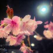 ヒメ日記 2025/01/21 12:04 投稿 果鈴(かりん) 人妻出逢い会 百合の園 池袋店