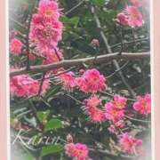 ヒメ日記 2025/02/05 11:23 投稿 果鈴(かりん) 人妻出逢い会 百合の園 池袋店