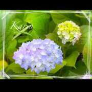 ヒメ日記 2025/05/26 09:04 投稿 果鈴(かりん) 人妻出逢い会 百合の園 池袋店